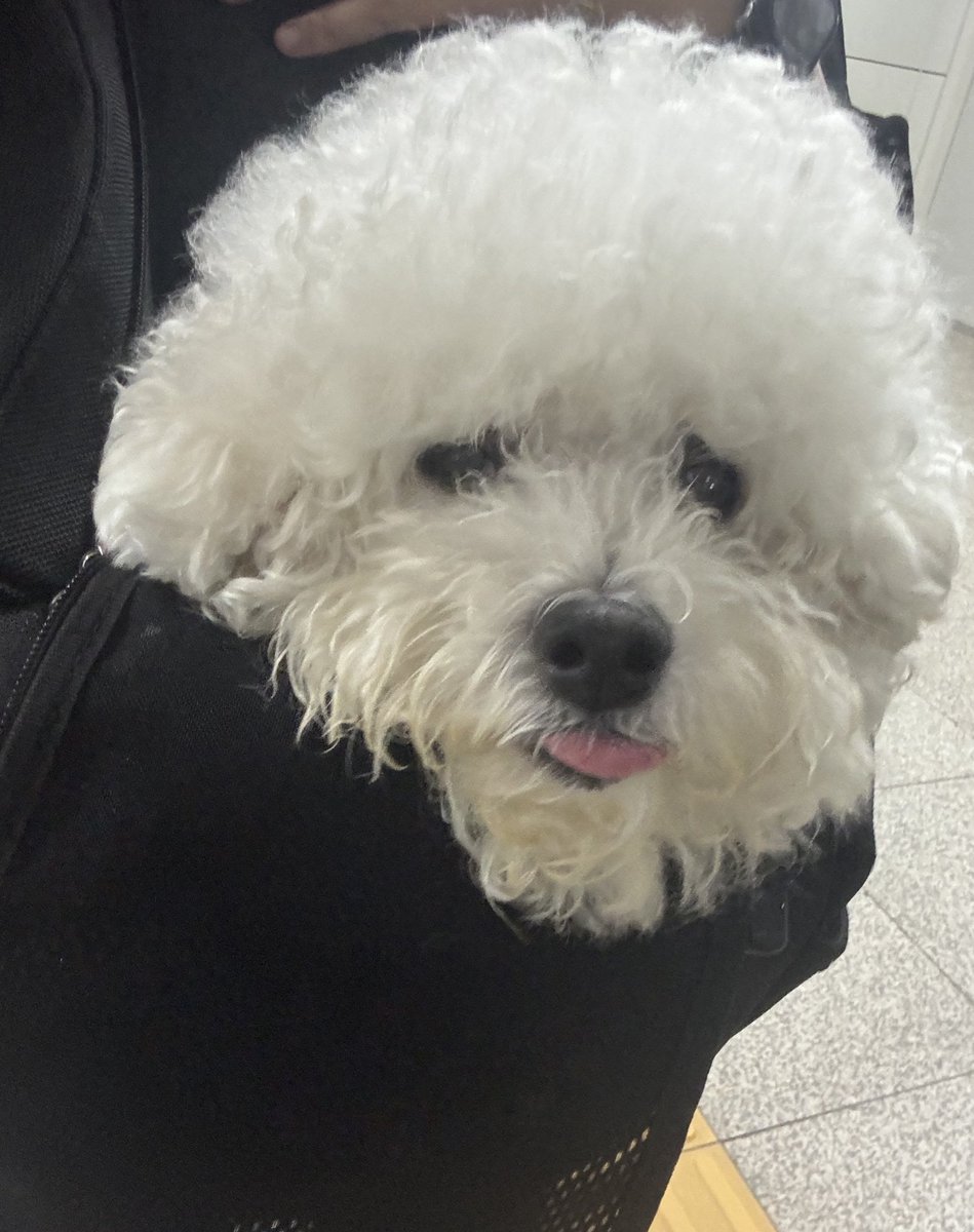 MYB0R1's tweet image. 아침 배변 다 해서 행복한 아기밥