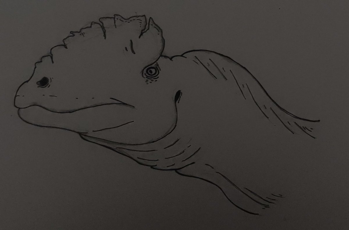 PaleoM0rgan's tweet image. Double crested guy

#dilophosaurus #dinosaurs #paleoart