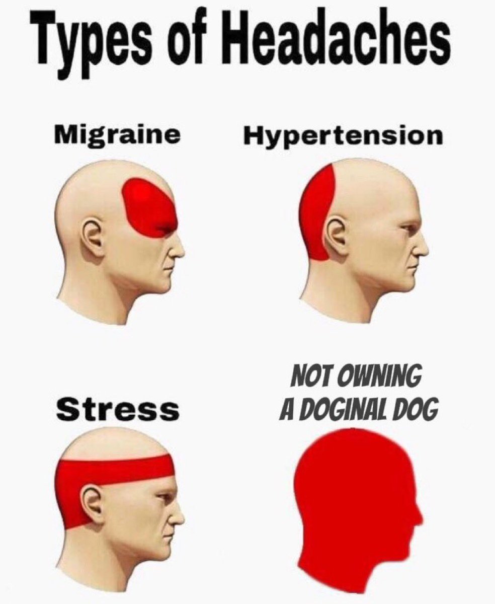 <a href="/DroMetaX/">Dro</a> <a href="/doginaldogsx/">Doginal Dogs</a>