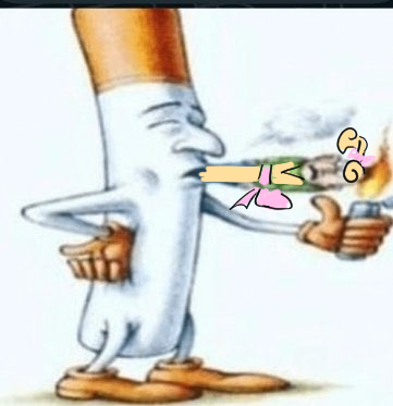 mirrorguts's tweet image. hi