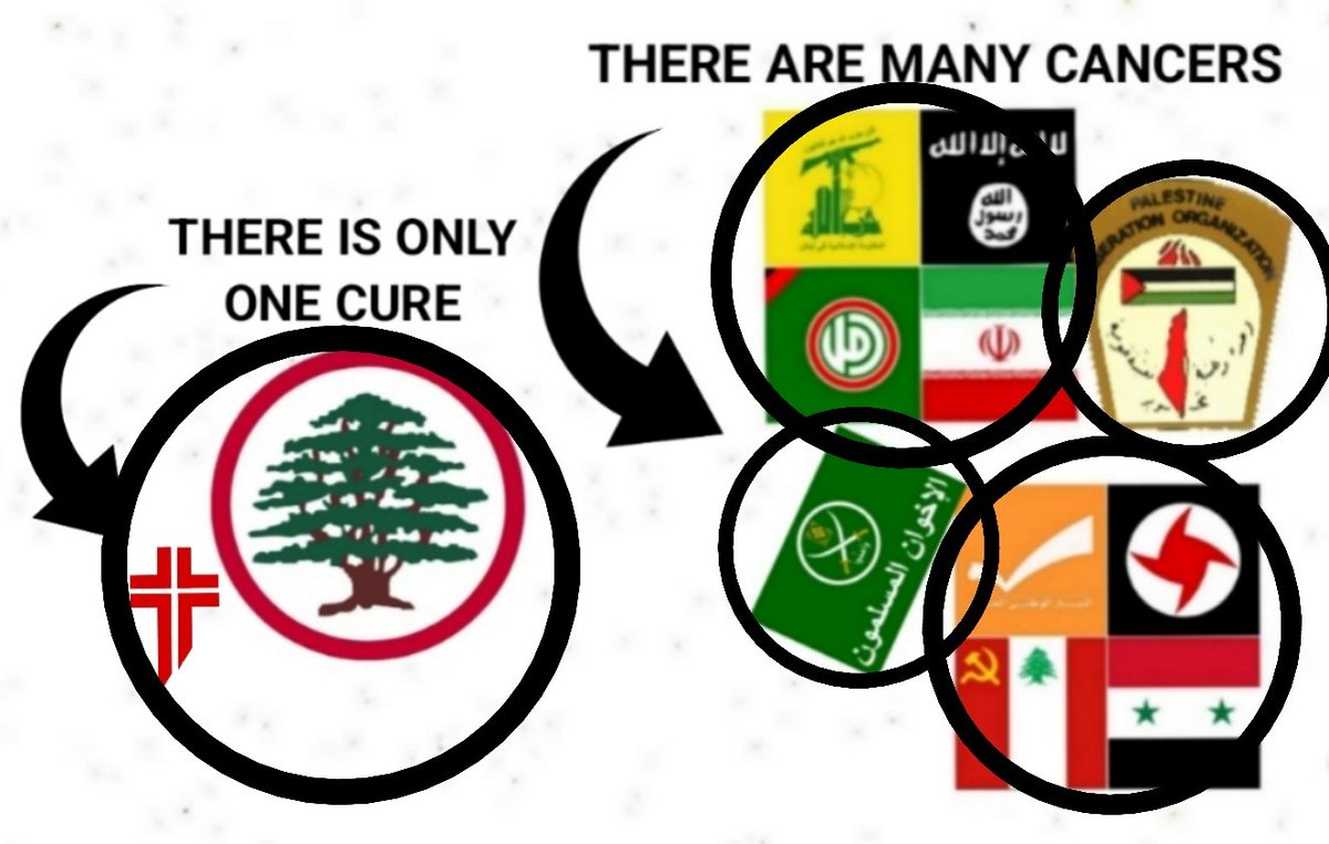 O_Apologetics's tweet image. 