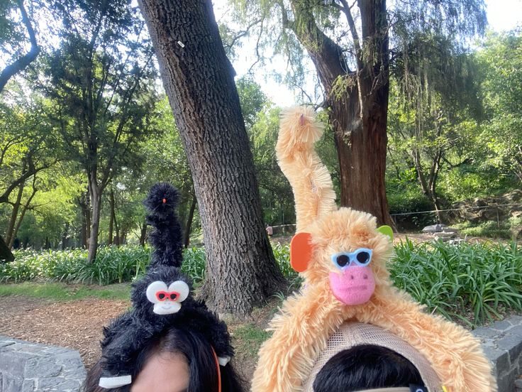 likeeallfire's tweet image. lenore dove and haymitch on a date in chapultepec with these little monkeys