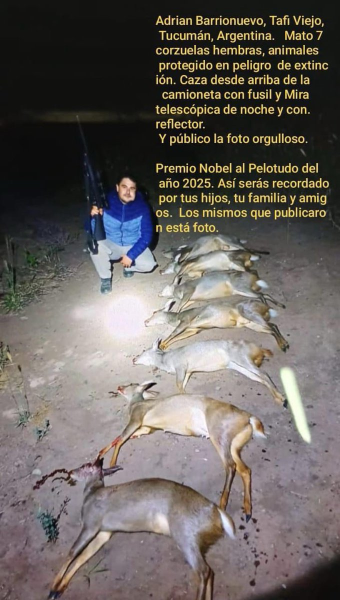 Geronimo Vargas Aignasse on X