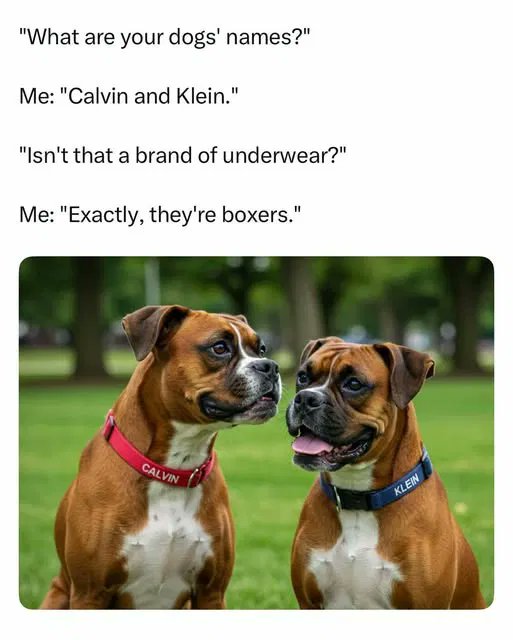 helenckh's tweet image. Groaner alert...