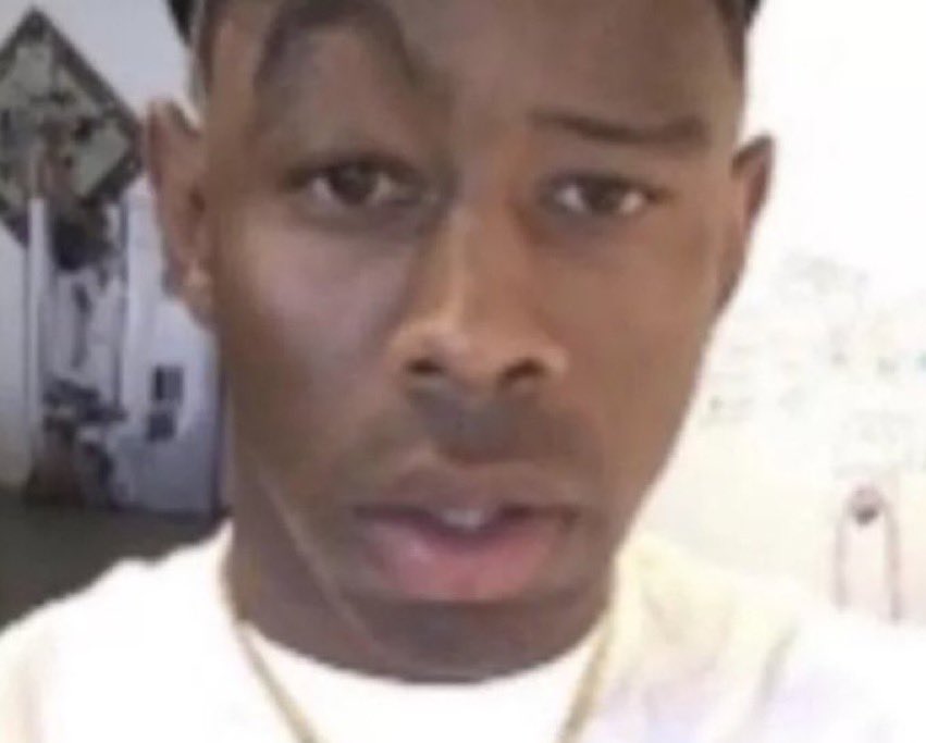 I should get back into making my dog posts tbh