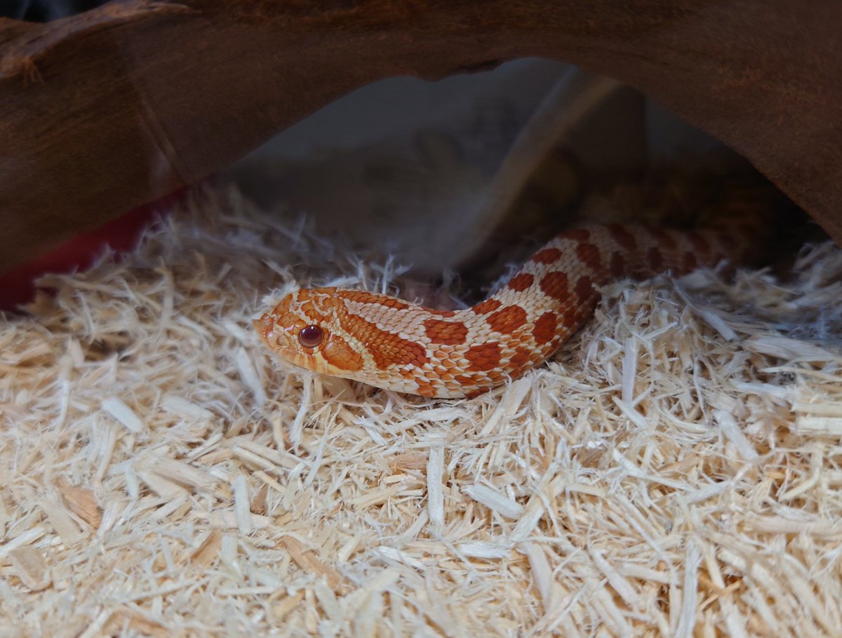 お家最高！！！
とりあえずゆっくり家事しないと