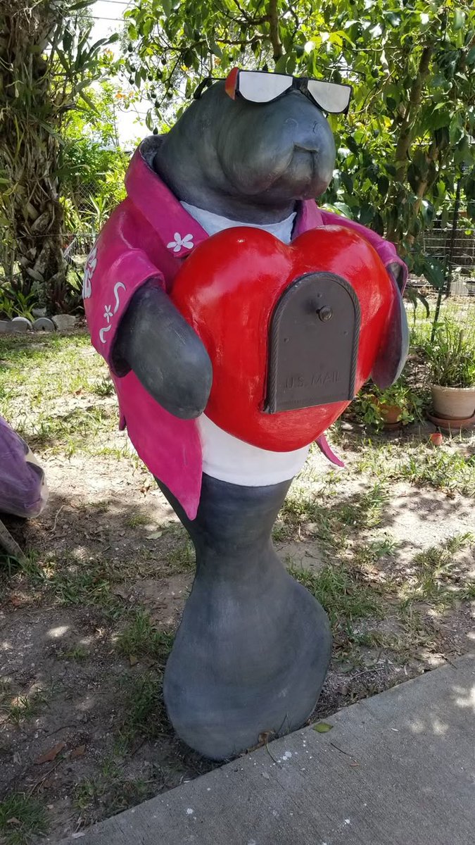 RUSS1ASF1NEST's tweet image. Bye bye dream of manatee mailbox...