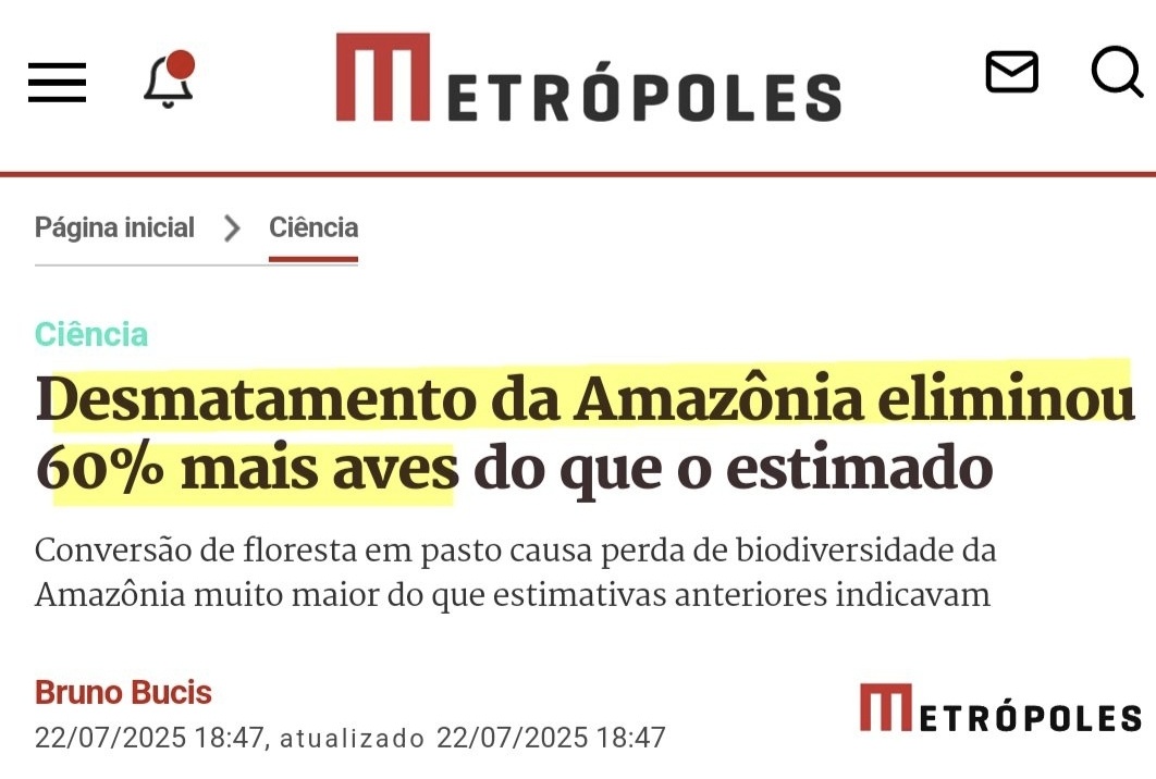 DepRodrigo_'s tweet image. Ainda temos Ministra do Meio Ambiente? 🤔