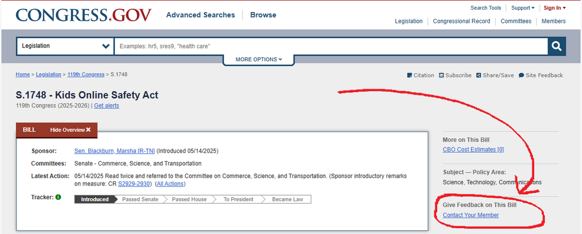 RumbleVT 🌲 | Polar Bear VTuber tweet media
