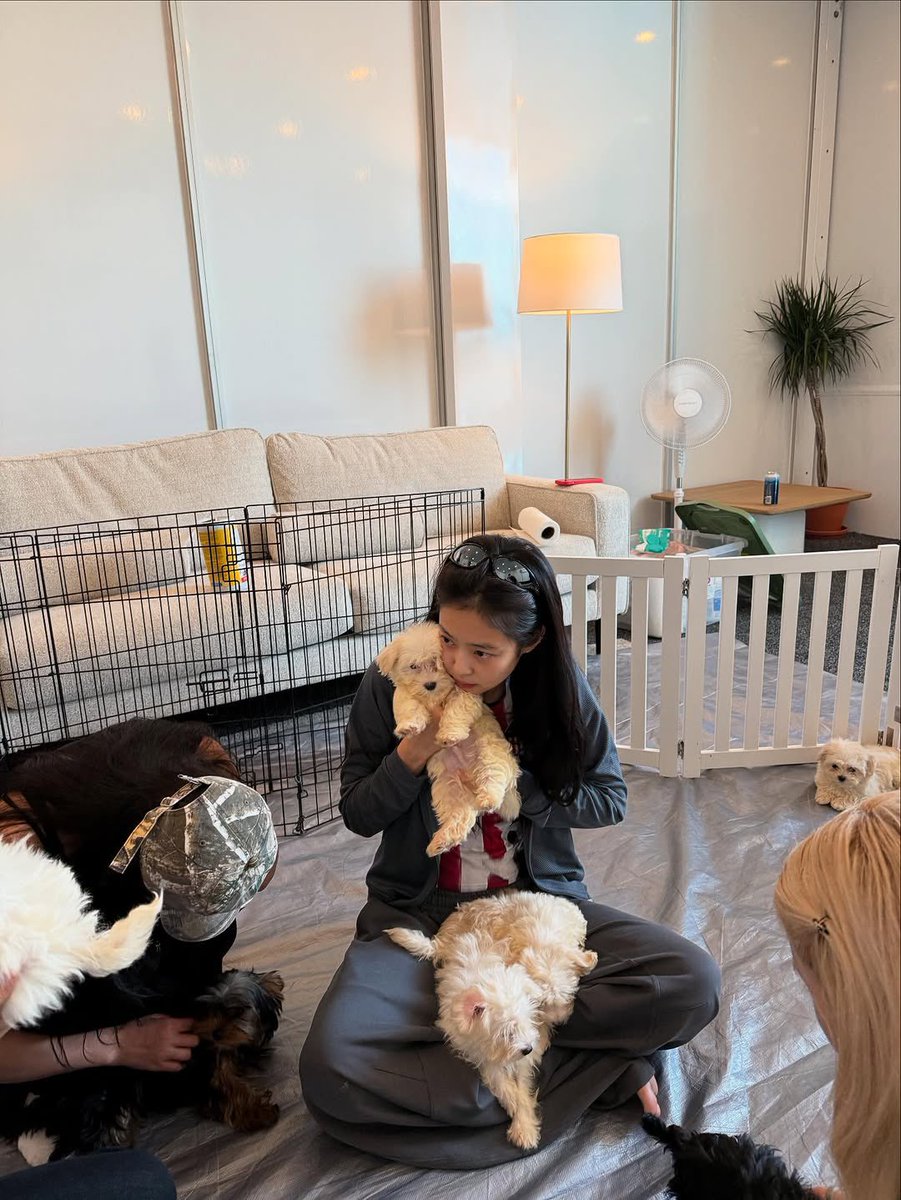 Jennie_Union's tweet image. 250728 | #JENNIE Instagram Update

“Toronto 🖤”

JENNIE RUNS THE BIG APPLE #JENNIEDEADLINENEWYORK