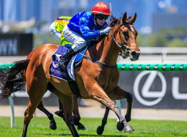 JoefromPrime's tweet photo. Our exciting 2yo filly Cavalry Girl jumps out at Casterton today as she prepares for her return to the track for @dabernigracing The rising 3yo filly is by @DarleyAus First Season Sire Bivouac.  Exciting times ahead!!! @inglis_sales Here she is winning @FlemingtonVRC @m_felgate https://t.co/9KRnPgBMRB