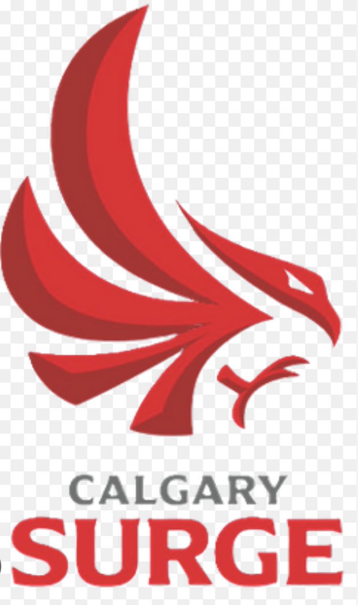 This afternoon, I had the chance to attend my very first @calgarysurge game — and what an experience it was! Although the Surge didn’t come out on top - the energy in the building was electric from start to finish.

Despite today’s result, the Surge have clinched a playoff spot!
