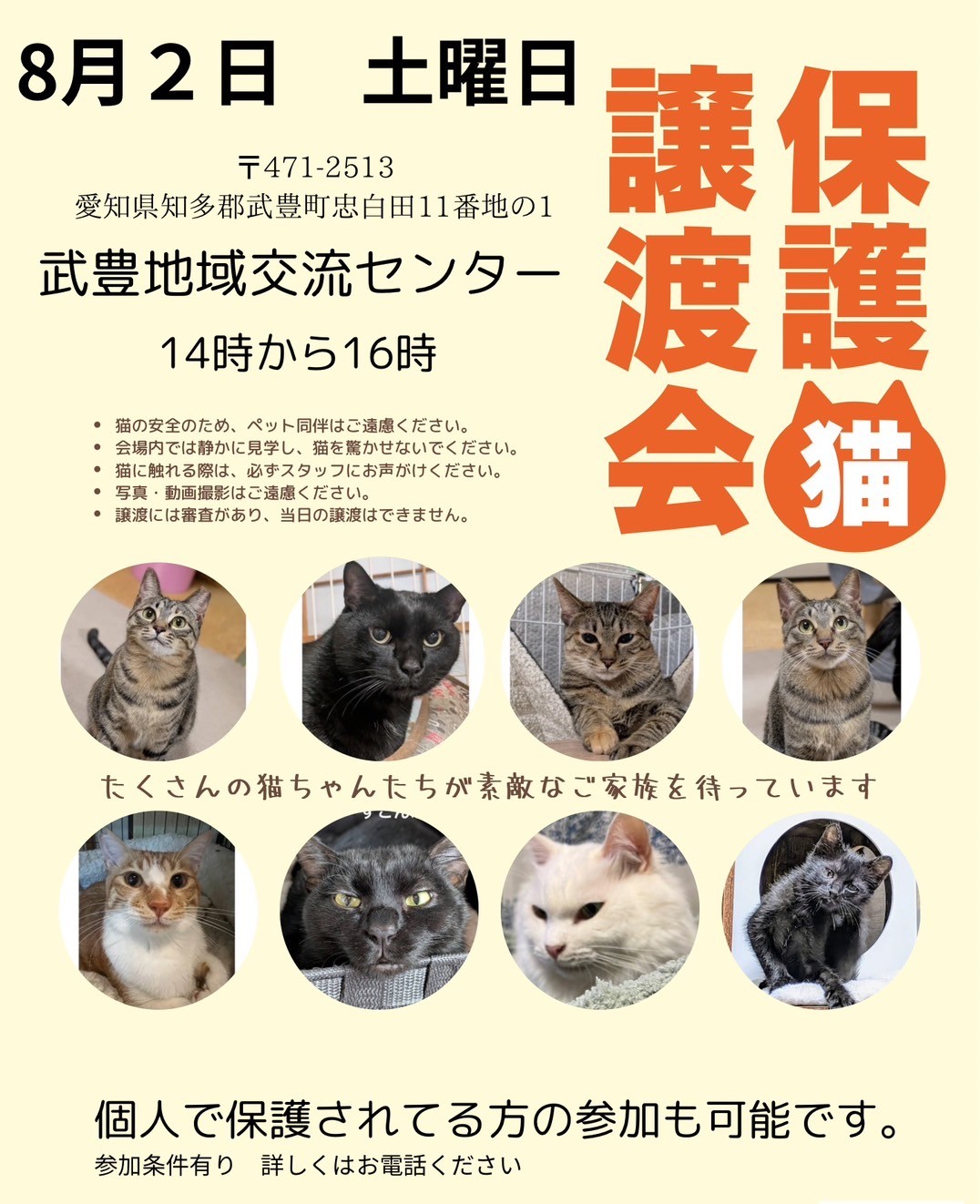ねこ様へ①④ 71Yu+lNceML.jpg