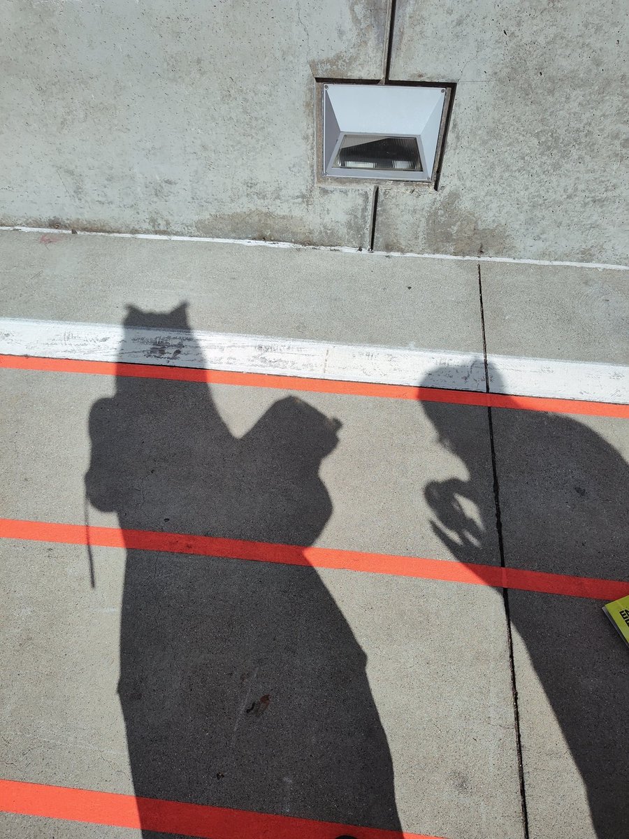 凯尔希是猫猫 tweet media