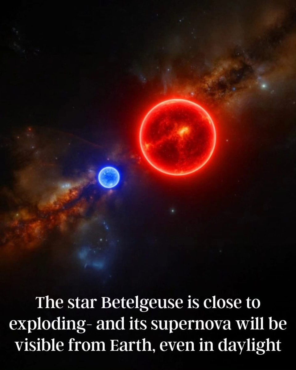 Fl0ridaBoy74's tweet image. Betelgeuse is gonna explode.