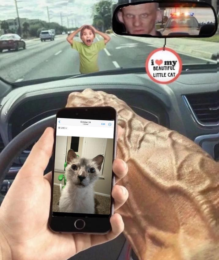 augmentarded's tweet image. "Nothing from my end, thanks"