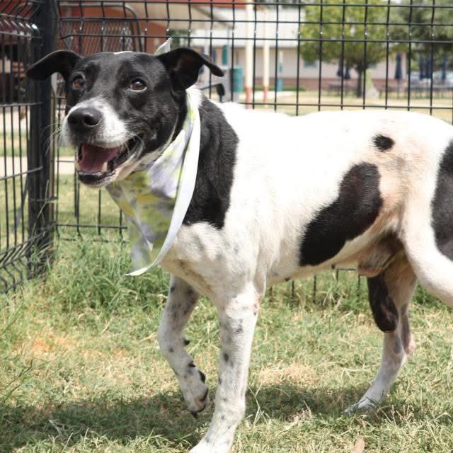 Aurora ⸆⸉ misses Liam ❯❯❯❯ tweet media