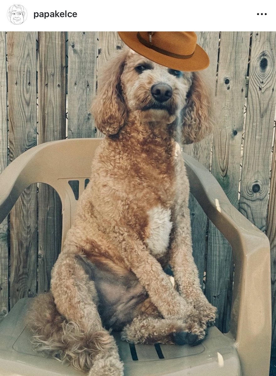 venusttpd's tweet image. You’re cowboy like me