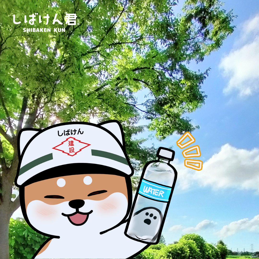 新発田建設㈱公式】しばけん君 (@shibaken_kun) / X