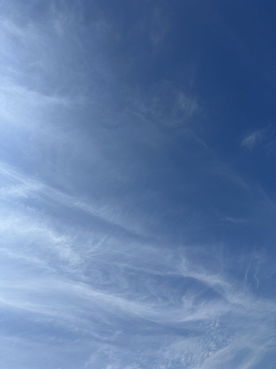 miko0296's tweet image. みなさんおはようございます😃
今日も朝から日差しが強いです☀️
外にいても部屋の中にいても
熱中症に気をつけたいと
思います🍹

#いまそら