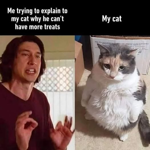 DaddyisBest's tweet image. &quot;Tell me again why I can&apos;t have more treats???&quot;
