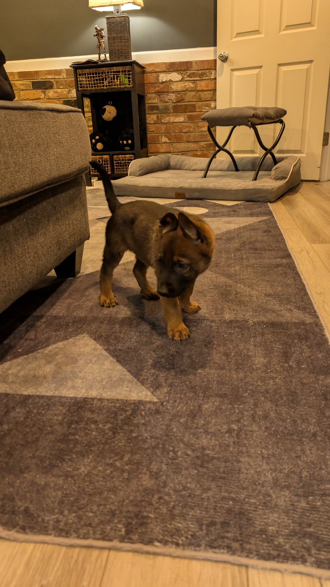 Newest edition to the family.