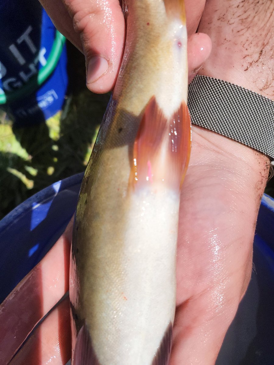 TU Science tweet media