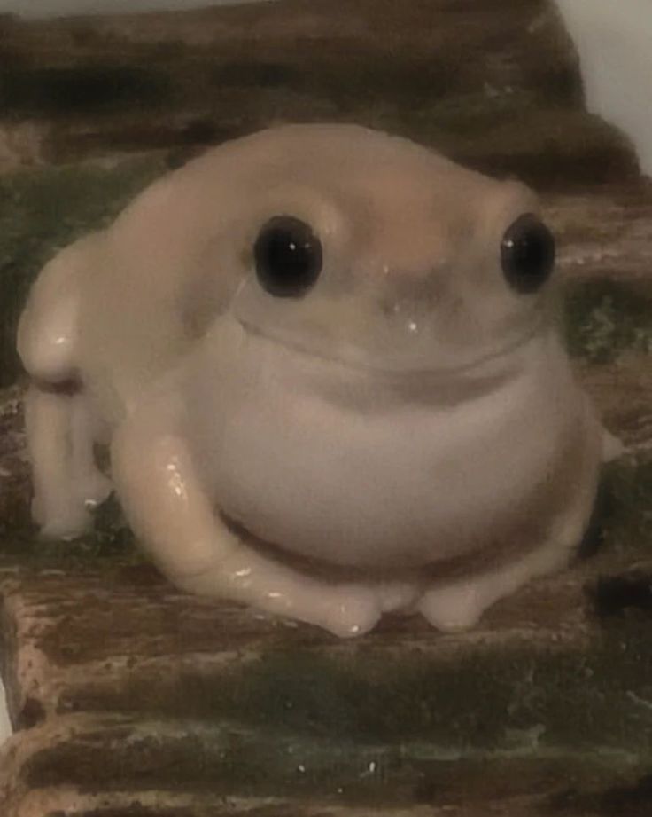 AlysssaHazel's tweet image. GN Friends.
I think tomorrow I'm going to post something so deranged and absurd I get community noted.
For kicks and giggles.