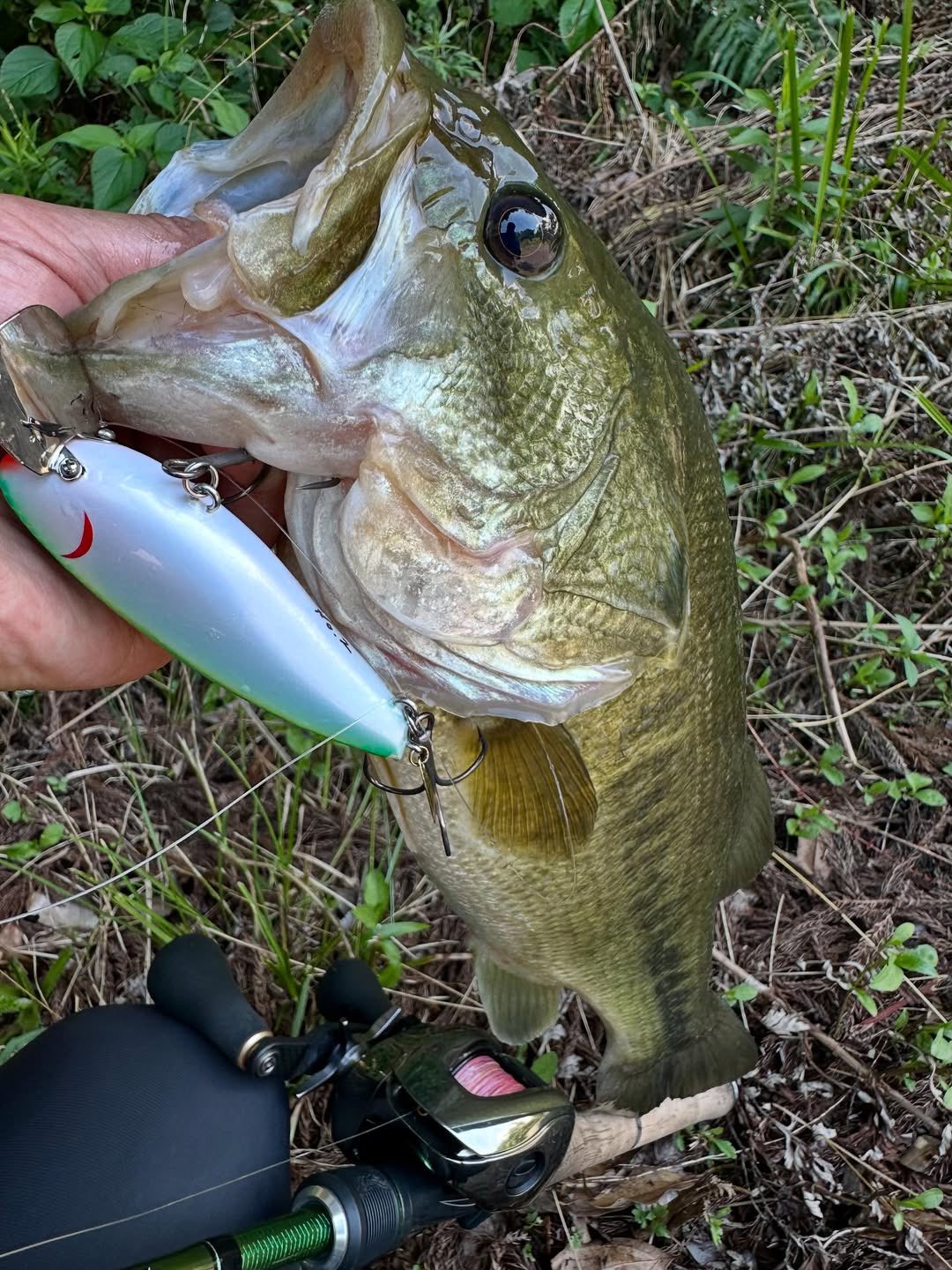 skillful【スキルフル】オカモトタクミ (@skillfullure) / X