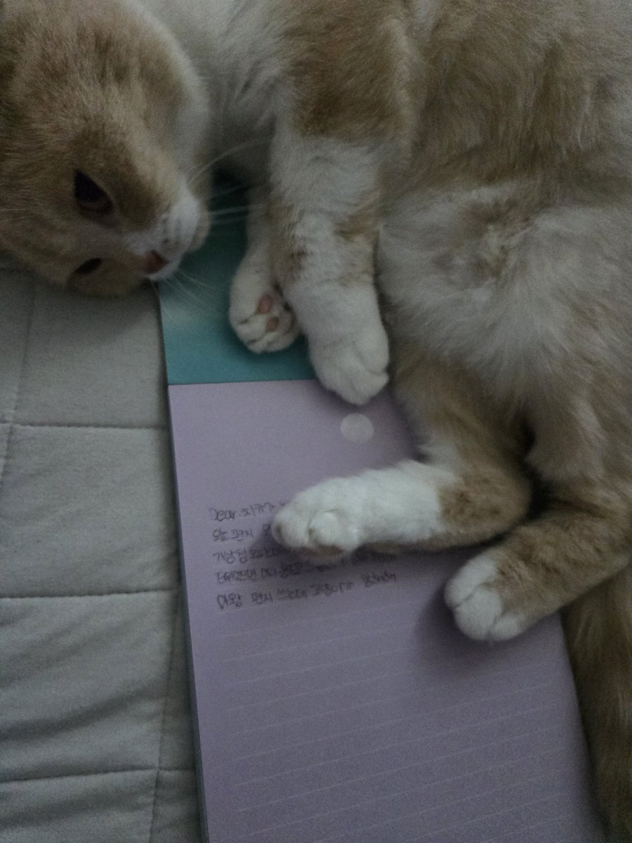 오늘 방송 일어나서 알려주께염... 일단 8시