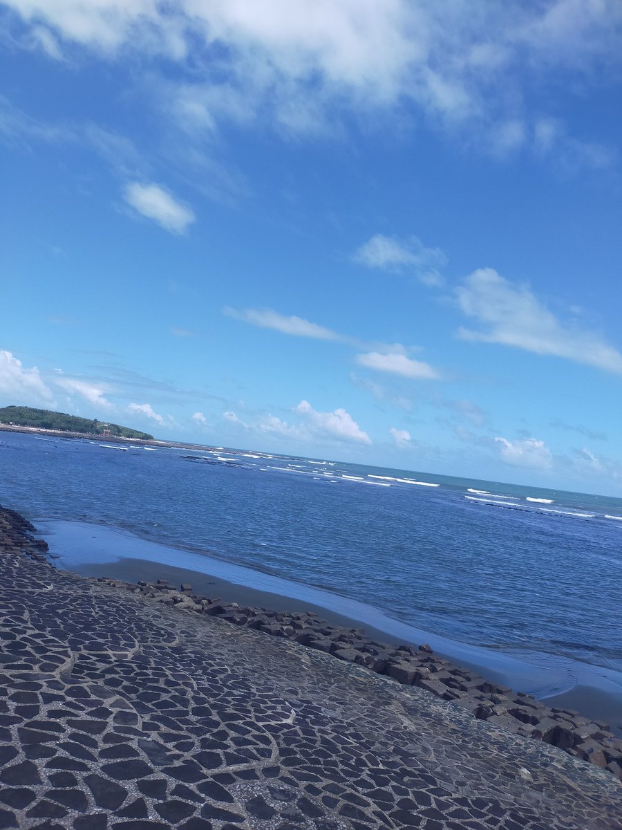Choro0164's tweet image. きた。青島。