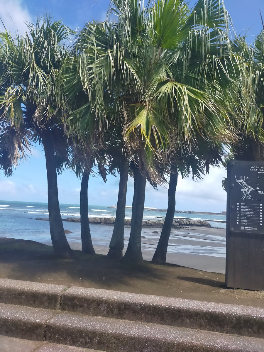 Choro0164's tweet image. きた。青島。
