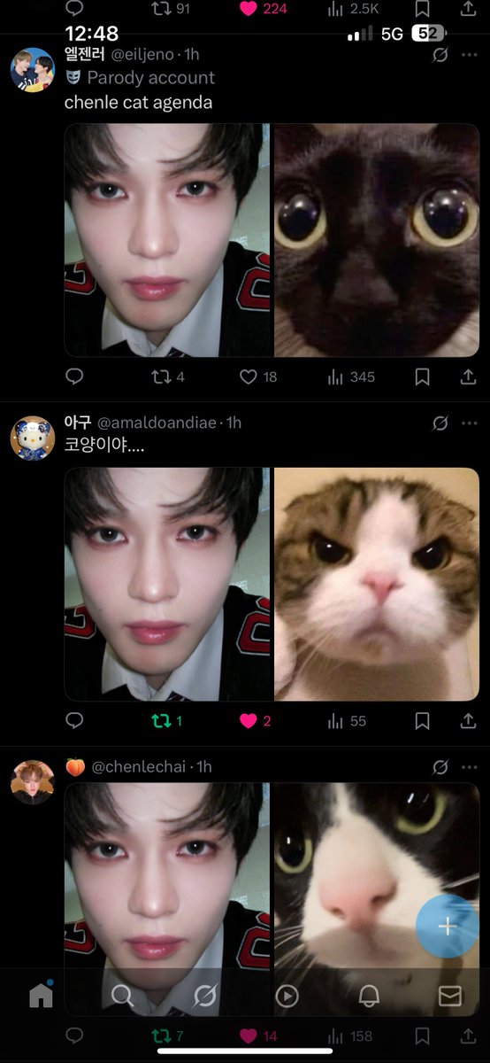 eiljeno's tweet photo. need more chenle x cat side by side https://t.co/Y8qXX3hM2Z