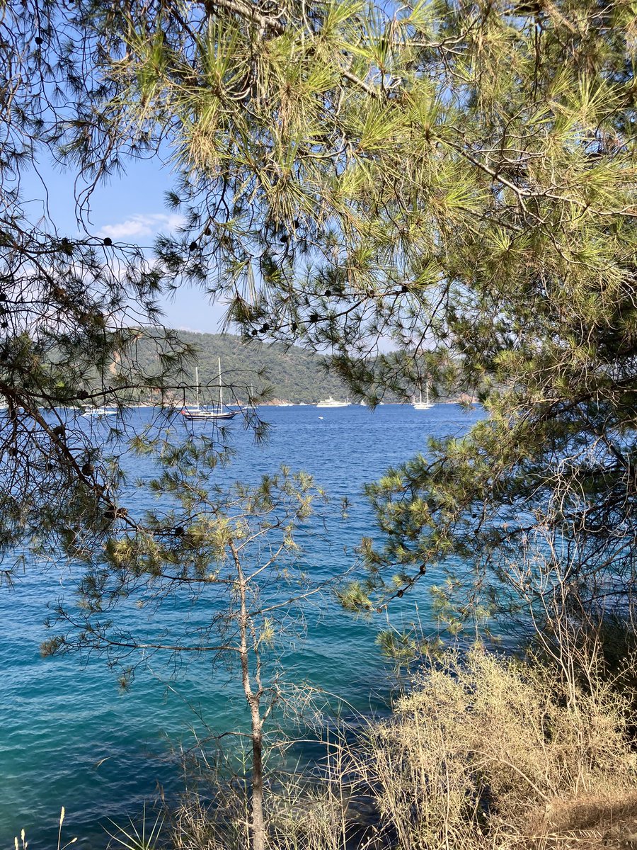 serenad75's tweet image. Günaydın Güneş,
Sıcak esen rüzgar,
Yeşile tutkun çimen,
Kanadında cesaret taşıyan güvercin,
Ne güzelsiniz bu sabahta,
Biz ne mükemmel dostlarız ki
Kelimesiz yazısız anlaşırız...
Merhaba çocuklar.
Merhaba arkadaşlar,
Merhaba cümleten..

Nazım Hikmet

#Günaydın ☀️🕊️