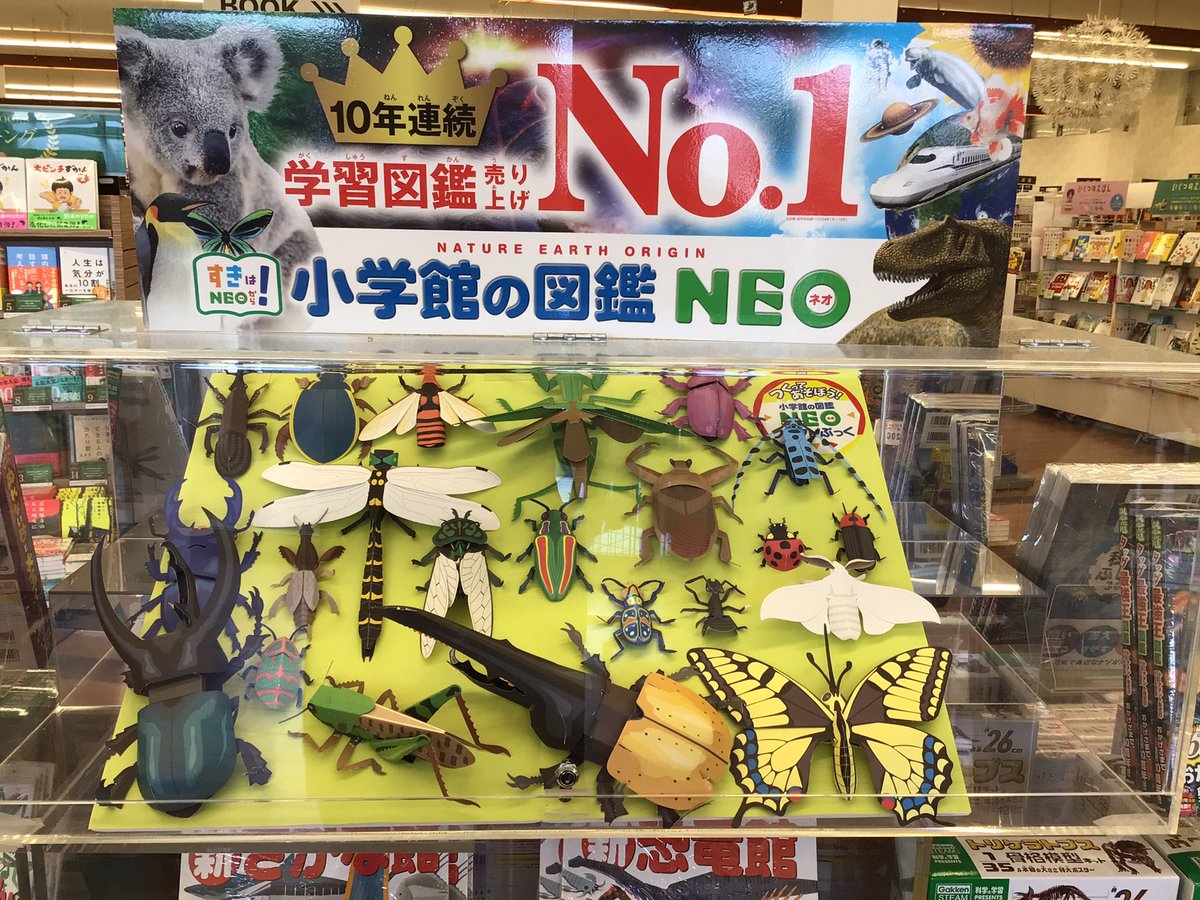 TSUTAYA_handa's tweet image. 長い夏休み、お家で作ってみませんか？
けっこうリアル🤣

#2025図鑑NEO  #2025クラフトブック　#TSUTAYA半田店