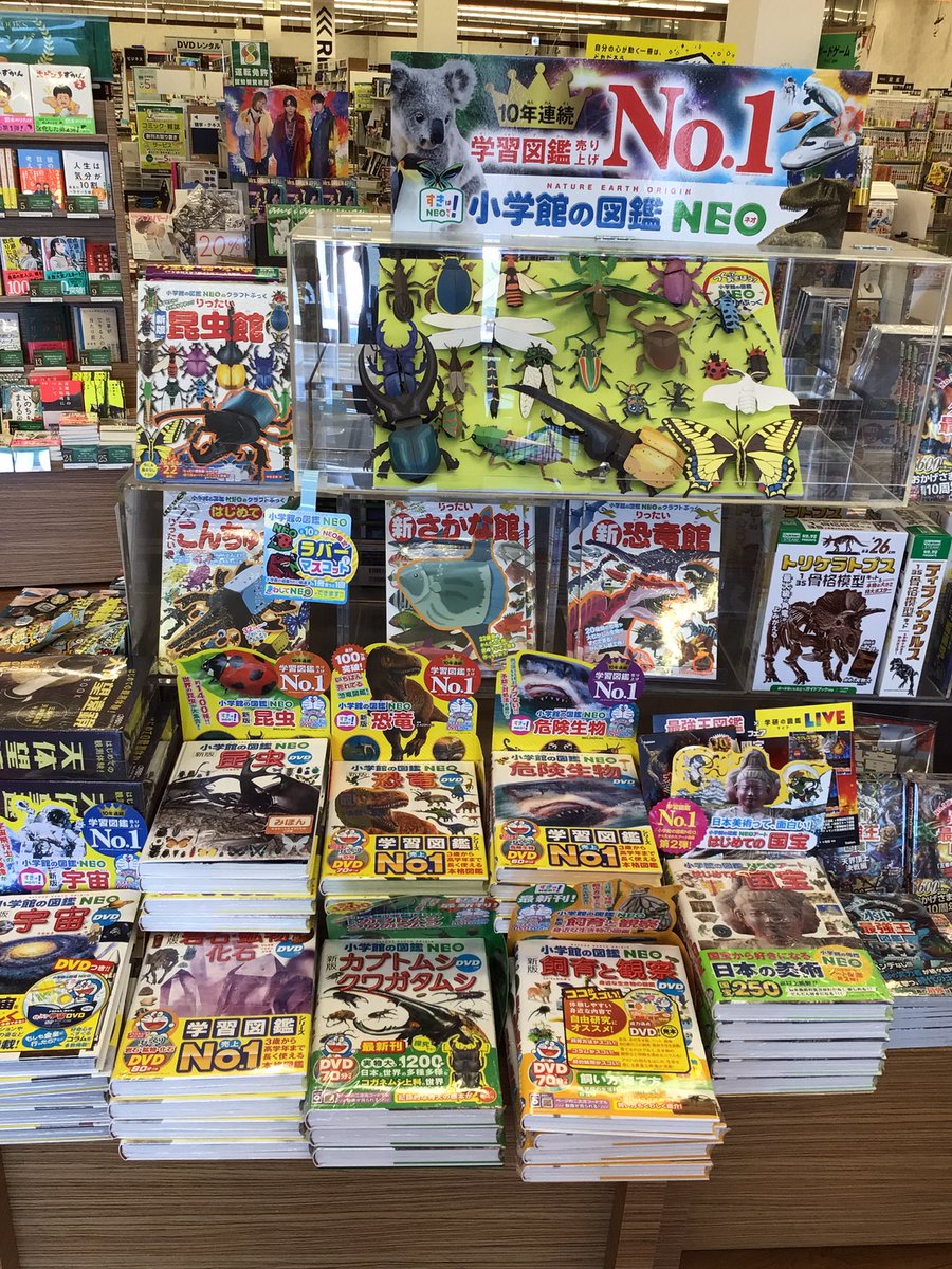 TSUTAYA_handa's tweet image. 長い夏休み、お家で作ってみませんか？
けっこうリアル🤣

#2025図鑑NEO  #2025クラフトブック　#TSUTAYA半田店