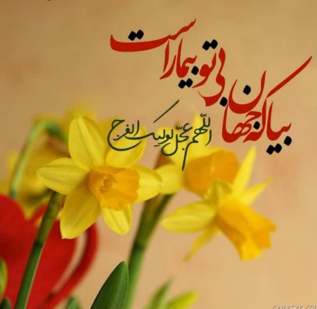 BARAN_ILAM's tweet image. امام زمانم ...
🔹معنـای سحـر سلام بـر تو
غـایب ز نظـر سلام بـر تو
🔹غم میرود از سینهی شیعه
با گفتن هر ســلام بر تو
اللّهُمّ عَجّلْ لِوَلیّکَ الفَرج
#سلام_امام_مهربانم
#صبحت_بخیر_آقا