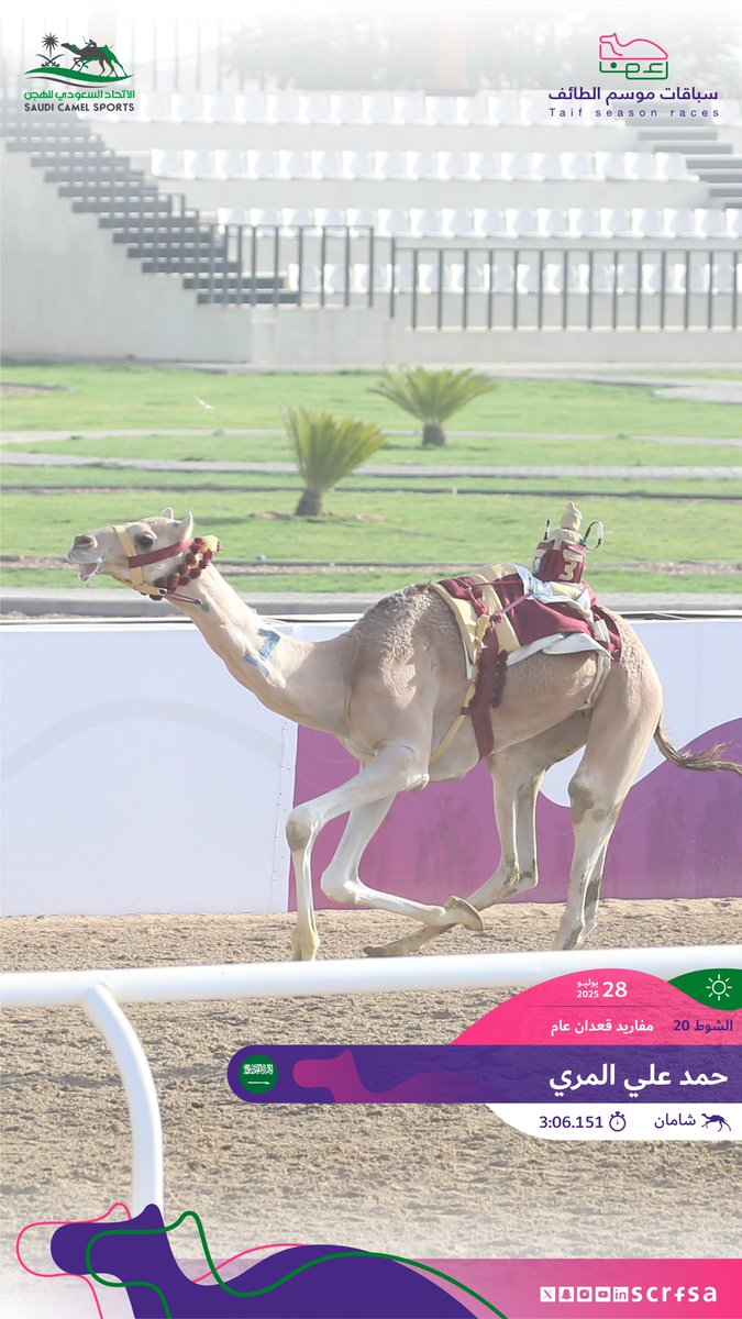 scrfSA's tweet image. #سباقات_موسم_الطائف 2025
أشواط السباق الثاني
🐪 شامان
▫️حمد علي المري
🏁 الشوط 20: مفاريد قعدان عام.
⏱️3:06.151
🎥 youtube.com/watch?v=P7FsX1…