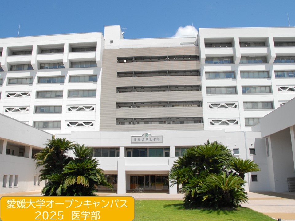 【INFORMATION】
2025愛媛大学オープンキャンパス準備中！第3弾は、重信キャンパスにある医学部🏥
医学部では、医学科・看護学科にわかれて、学科紹介を実施します🎉
医学科では小林教授の模擬授業を✋
看護学科では先生と在校生による様々な企画を実施します🥰
詳細はこちら
ehime-u.ac.jp/entrance/open-…
