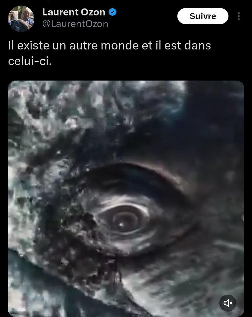 TimVorgens's tweet image. Et dans cet autre monde laurent ozon est un identitaire normal, sain d'esprit, qui est à jour de cotisation chez les Braves 👇🏻
go.lesbraves.org/tmv
🫠