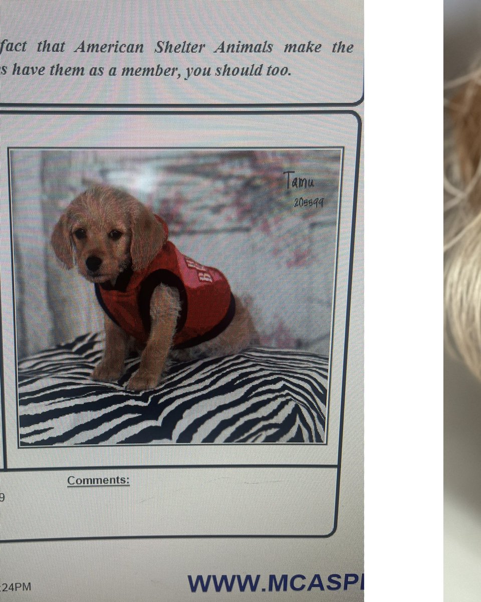 Slapdad's tweet image. This little guy was the best thing to happen to me in Texas. See you buddy…thanks for all the love!