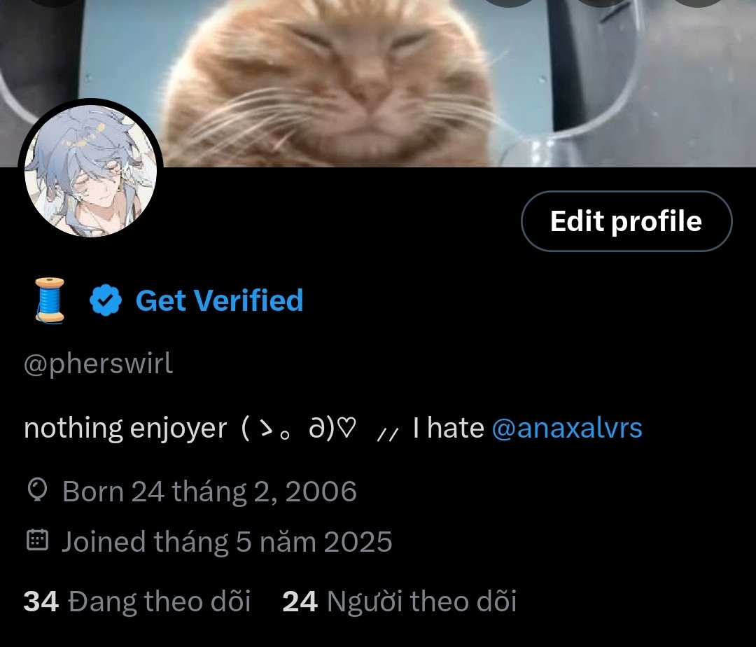 pherswirl's tweet image. 24 followers. Now imagine 24 seals surrounded you and all slapping their bellays in one rhythm.