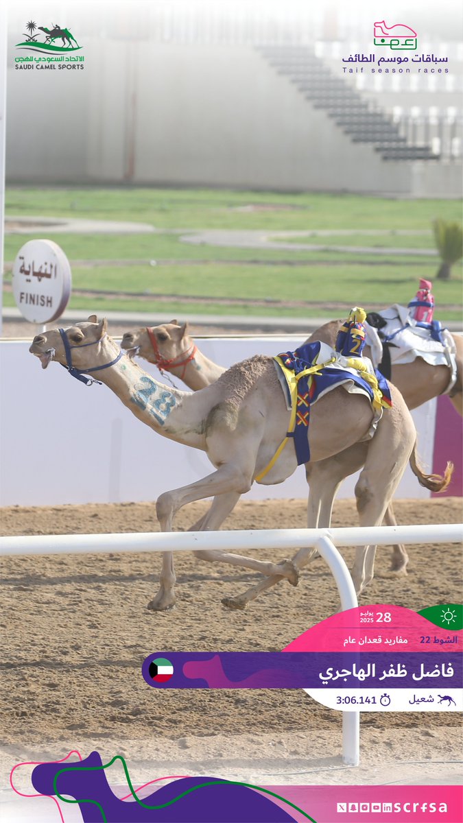 scrfSA's tweet image. #سباقات_موسم_الطائف 2025
أشواط السباق الثاني
🐪 شعيل
▫️فاضل ظفر الهاجري
🏁 الشوط 22: مفاريد قعدان عام.
⏱️ 3:06.141
🎥 youtube.com/watch?v=cO0nZ9…