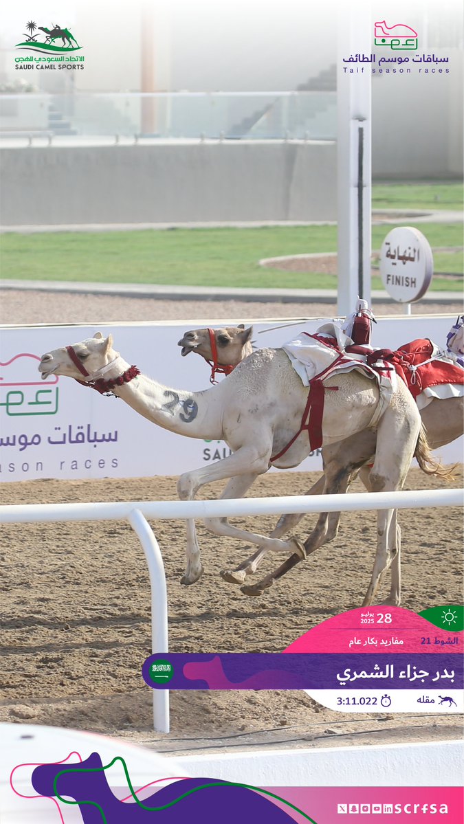 scrfSA's tweet image. #سباقات_موسم_الطائف 2025
أشواط السباق الثاني
🐪 مقله
▫️بدر جزاء الشمري
🏁 الشوط 21: مفاريد بكار عام.
⏱️ 3:11.022
🎥 youtube.com/watch?v=I7xdci…