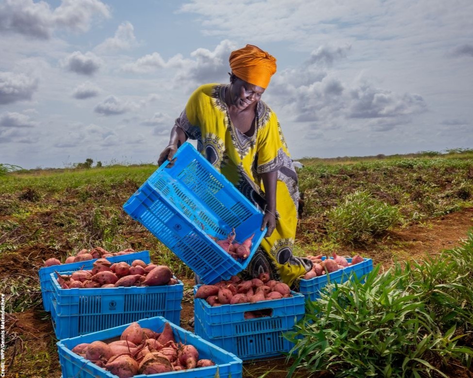 GPforEducation's tweet image. Les repas scolaires améliorent la santé des enfants, stimulent les économies locales et renforcent la résilience climatique.

Avec le soutien du @WFP_Africa et du GPE, le Kenya pourra offrir des repas quotidiens à 10 millions d&apos;élèves d&apos;ici 2030 : g.pe/OuCm50Wvxlq