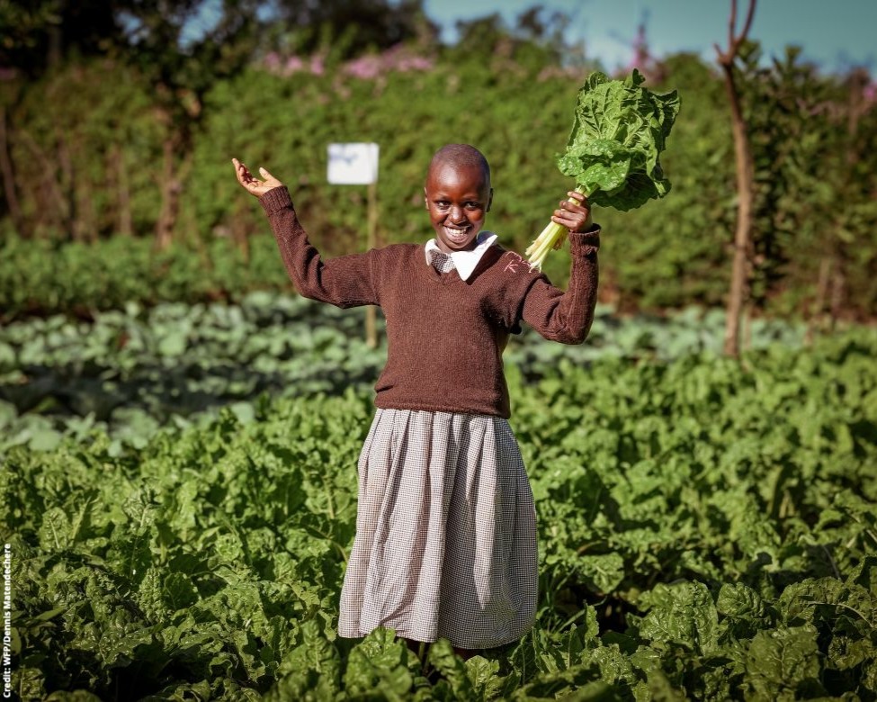 GPforEducation's tweet image. Les repas scolaires améliorent la santé des enfants, stimulent les économies locales et renforcent la résilience climatique.

Avec le soutien du @WFP_Africa et du GPE, le Kenya pourra offrir des repas quotidiens à 10 millions d&apos;élèves d&apos;ici 2030 : g.pe/OuCm50Wvxlq