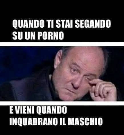 MichaelGiulian2's tweet image. 