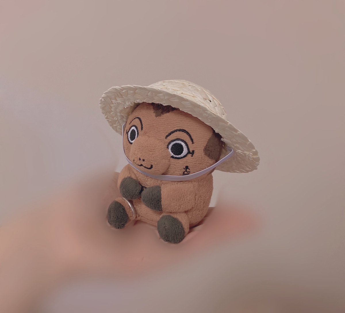 mogu2monchan's tweet image. ﾈｯﾁｭｳ症対策👒