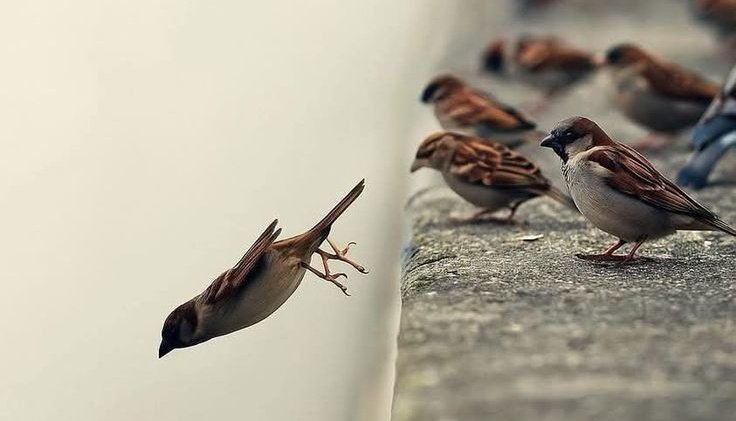 ijubran's tweet image. صـباحُ الخـير..!!
"الحياةُ واسعةٌ جدًا، لكن يضيّقها الإنسان على نفسه عندما يظنّ أنّ سعادته مُرتبطة بأشياء مُعيّنة .!
غيّر مكانك قليلاً، لترى النور من مكانٍ آخر، تفائل بكل خير، وسيأتيك كل الخير."
#صباح_الخير 🌸🍃