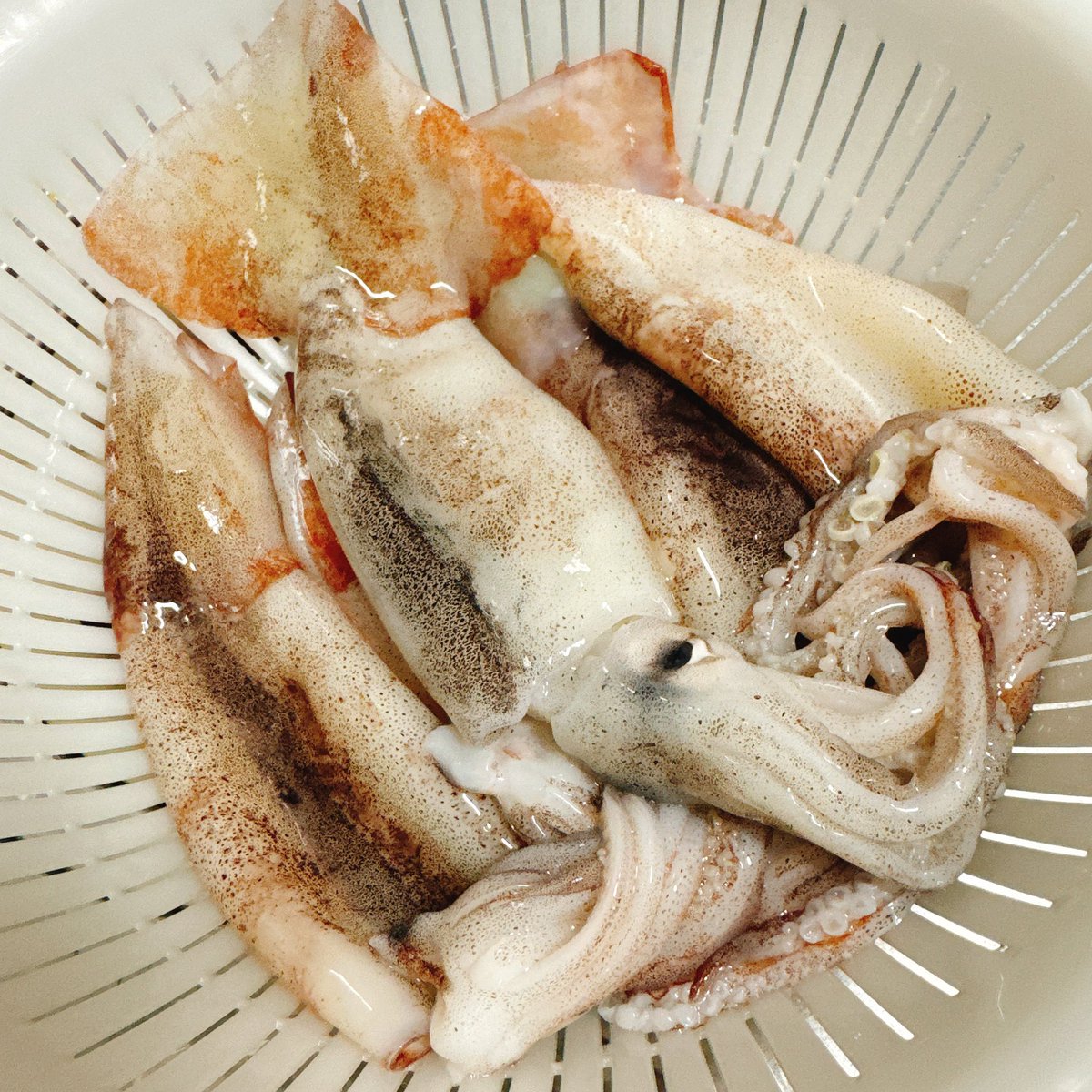 bonessp08's tweet image. イカ🦑大漁(鮮魚店😂)
